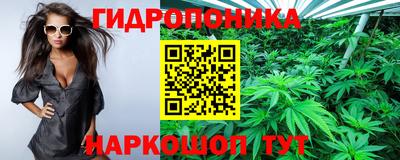 сатива Анапа