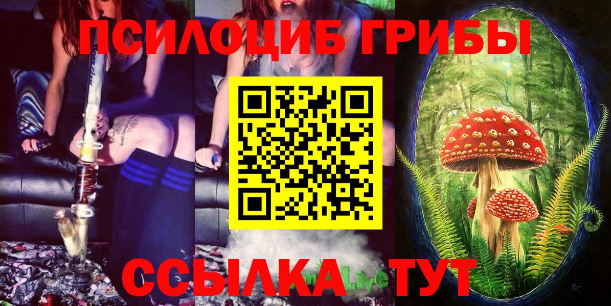 Псилоцибиновые грибы мицелий  Вход с VPN  где купить наркотик  Баксан  Галлюциногенные грибы Psilocybine cubensis 